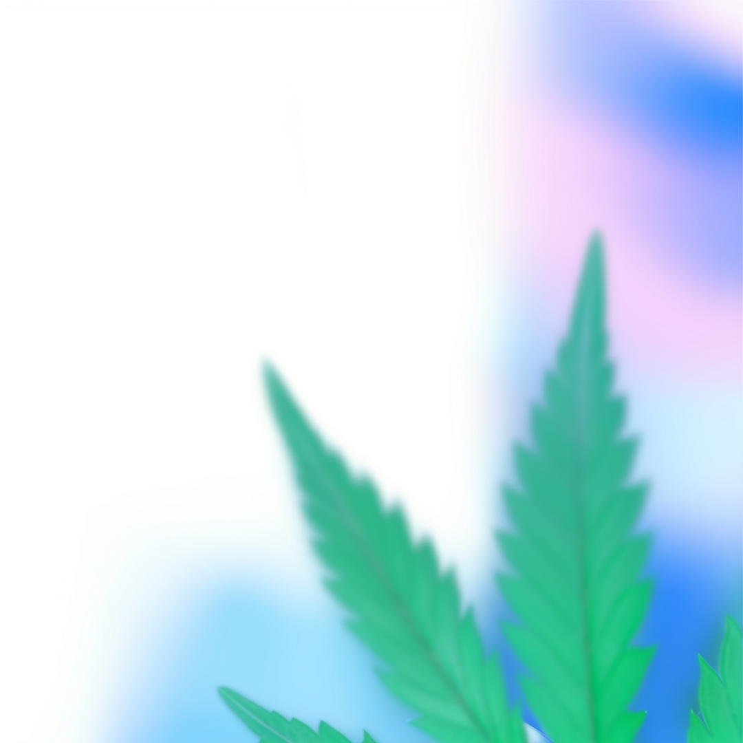 KONOPNÝ OLEJ (Cannabis sativa seed oil)